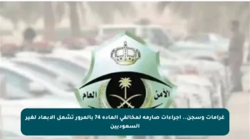 غرامات وسجن.. إجراءات صارمة لمخالفي المادة 74 بالمرور تشمل الإبعاد لغير السعوديين